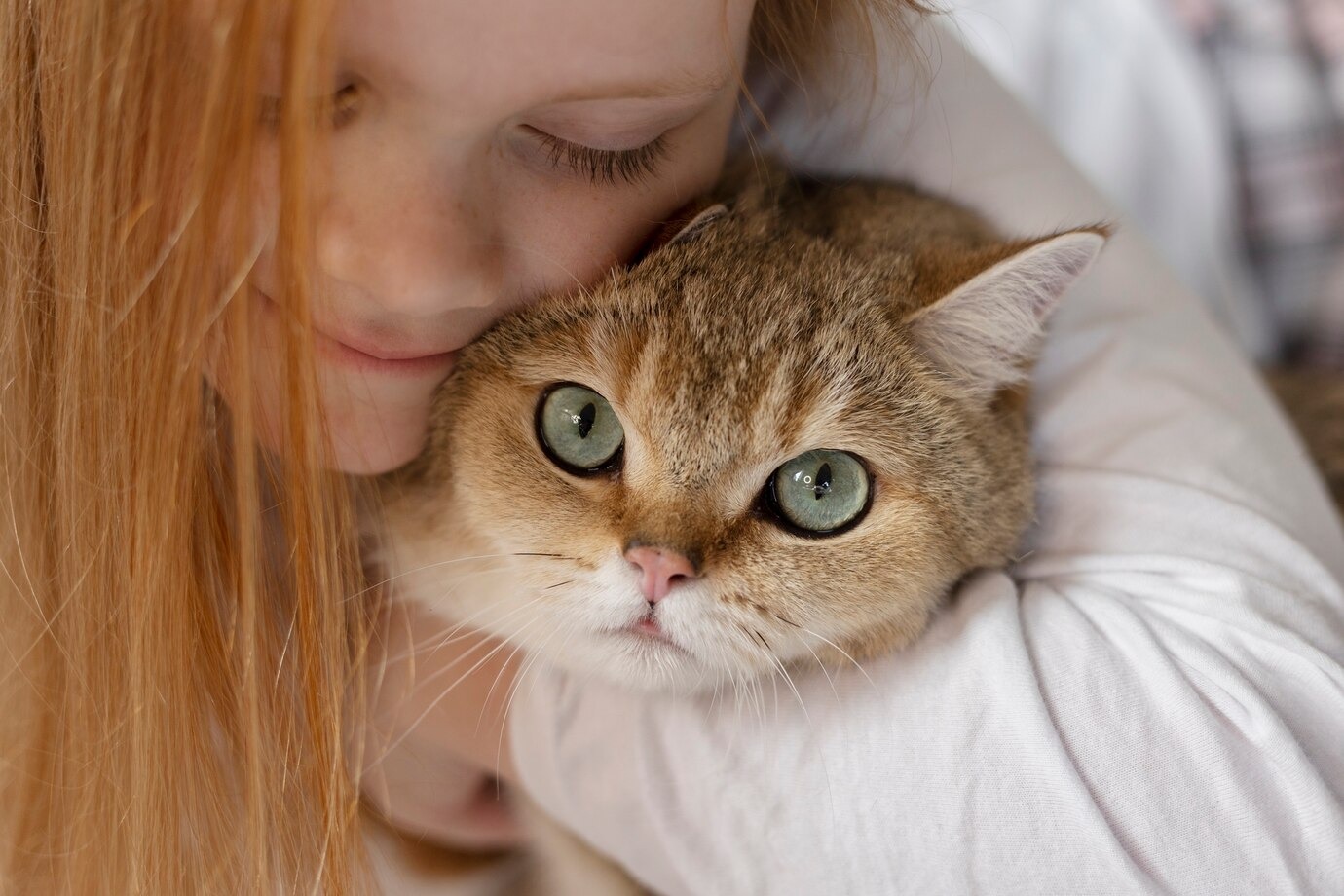 Bolehkah Ibu Hamil Memelihara Kucing? - Medikacare