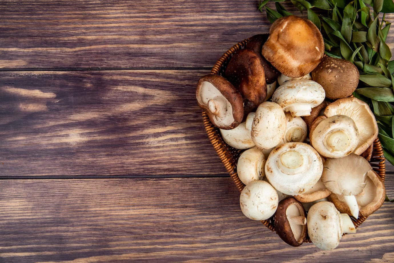 Jamur makanan alternatif untuk diet - Medikacare