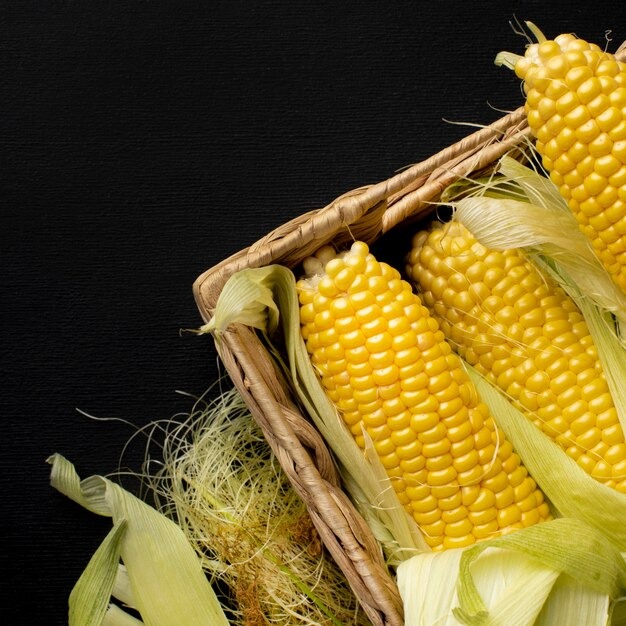 Manfaat Jagung Untuk Ibu Menyusui - Medikacare