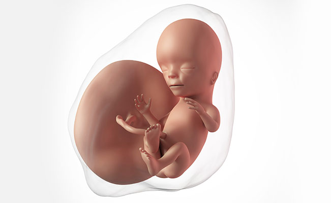 Perkembangan kehamilan di usia 15 minggu - Medikacare