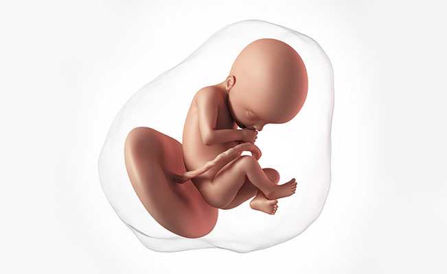 Perkembangan kehamilan di uisa 22 minggu - Medikacare