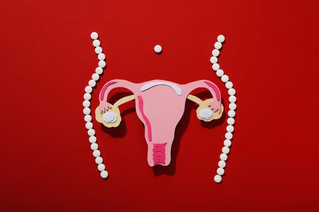 Tips Mengetahui Kapan Wanita Mengalami Ovulasi - Medikacare