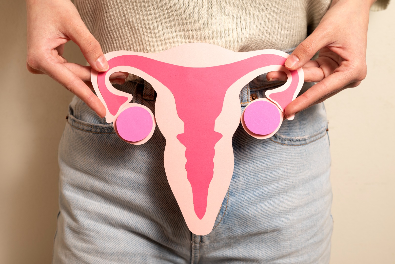 Fungsi Vulva serta Penyakit yang Dapat Menyerangnya - Medikacare