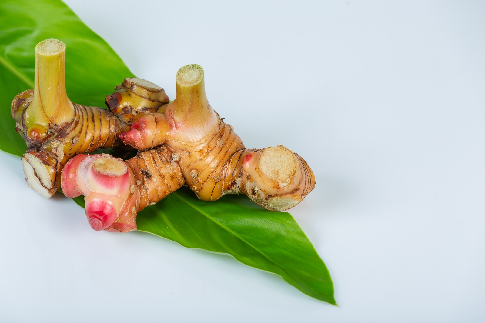 5 Manfaat Lengkuas bagi Kesehatan - Medikacare