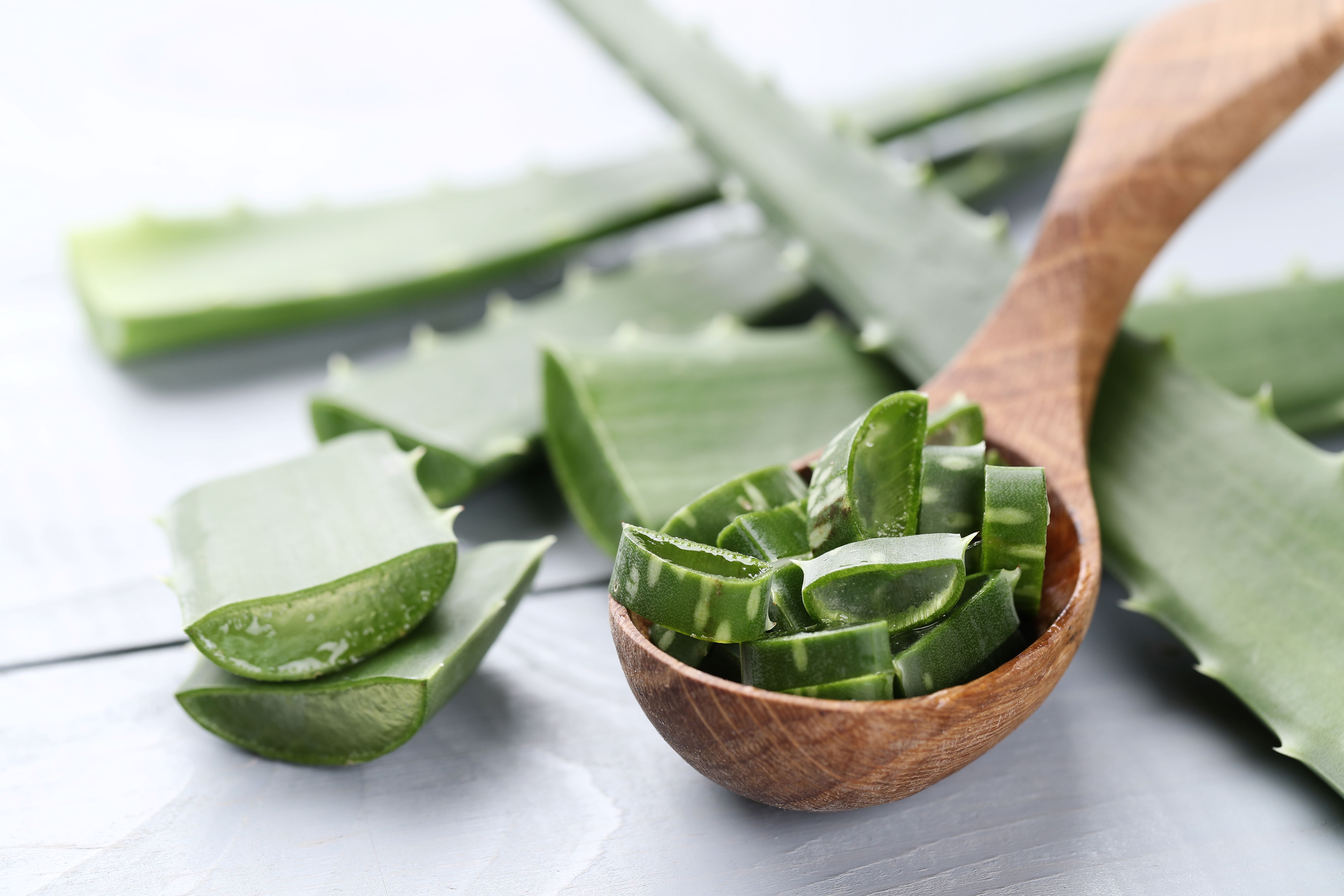 Manfaat lidah buaya untuk rambut - Medikacare