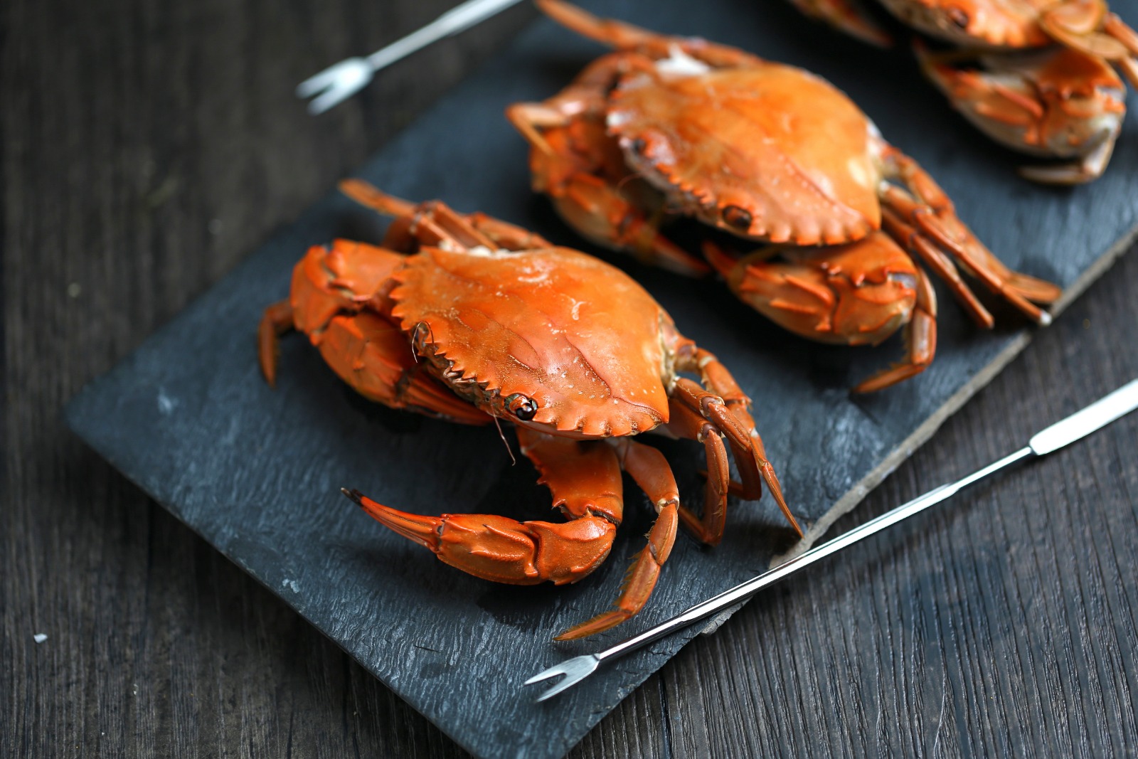 Bolehkah Ibu Hamil Makan Kepiting? - Medikacare