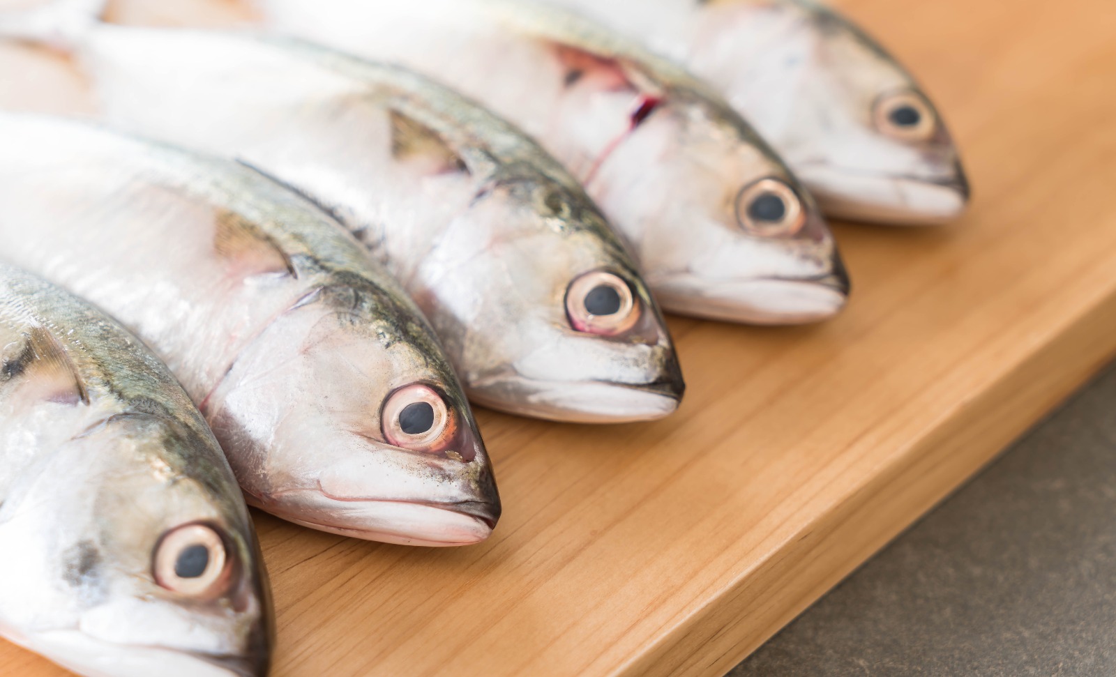 Manfaat Ikan Tuna untuk Janin - Medikacare