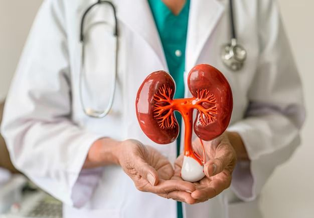 Jangan Tunggu Rusak! 5 Makanan yang Diam-Diam Merusak Ginjal