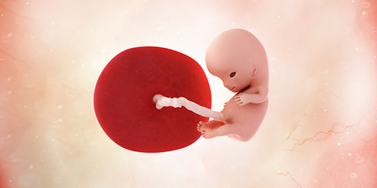 Perkembangan kehamilan di usia 10 minggu - Medikacare