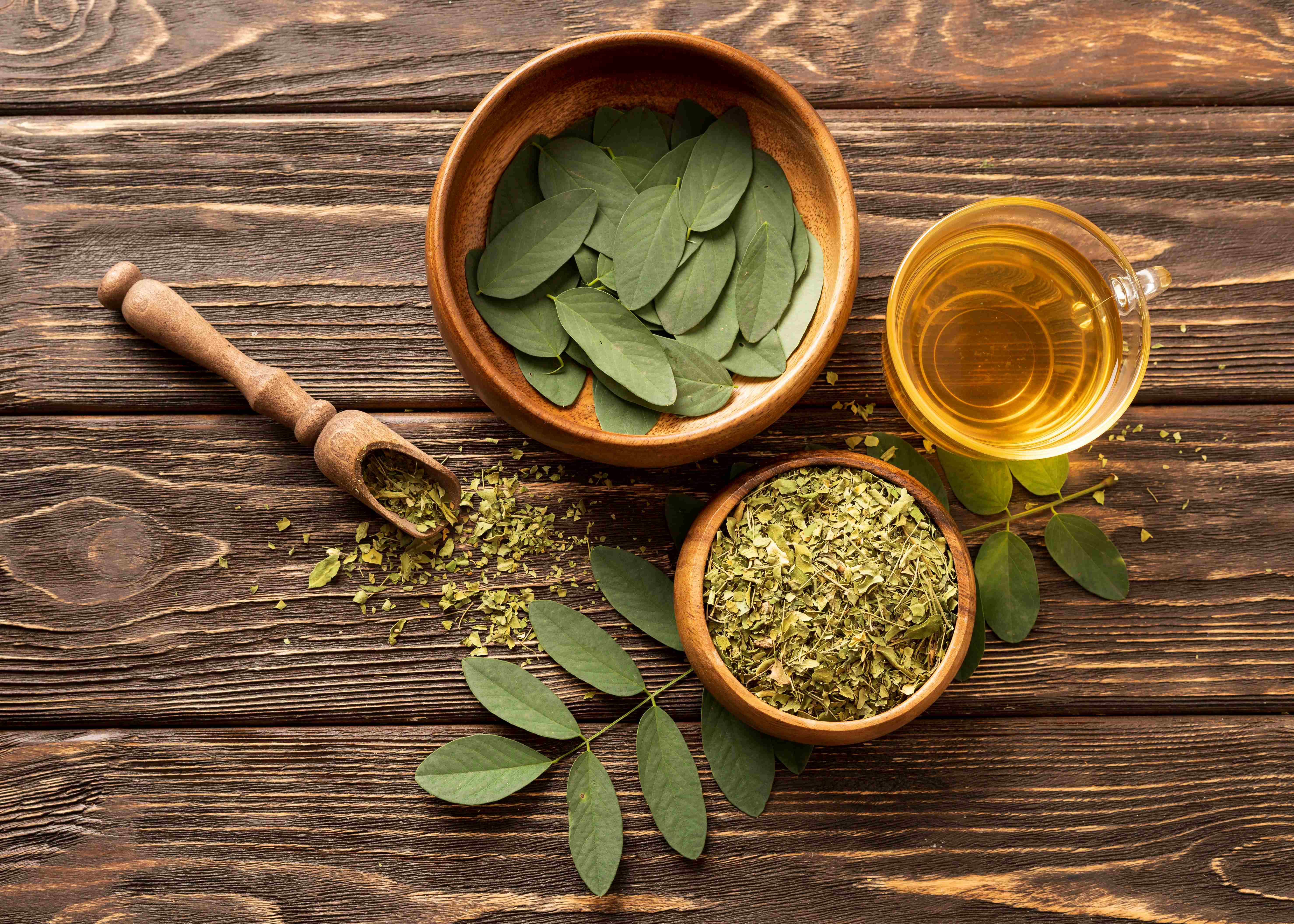 Tanaman Herbal Yang Dapat Menurunkan Gula Darah - Medikacare